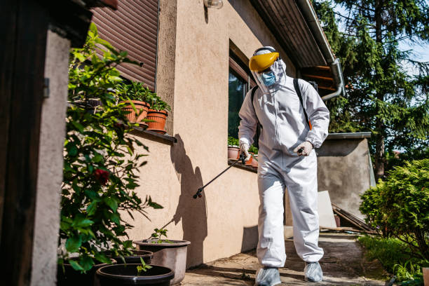 Best Pest Control Near Me in Augusta, GA