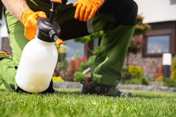 Pest Prevention Services in Augusta, GA