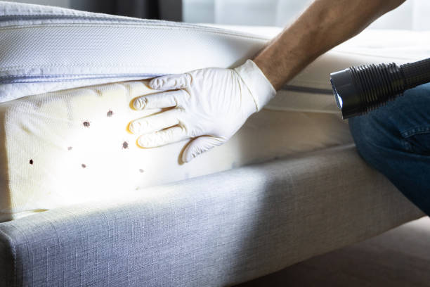 Best Cockroach Control Services  in Augusta, GA