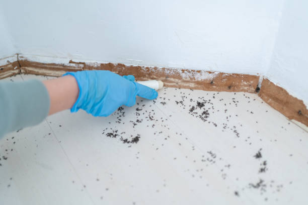 Best Best Pest Control Companies  in Augusta, GA