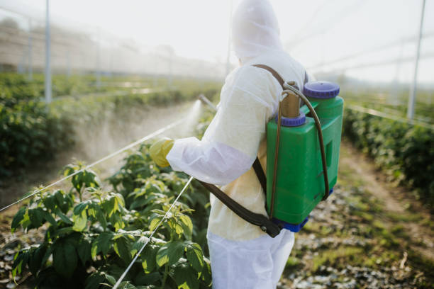 Best Exterminator Services  in Augusta, GA